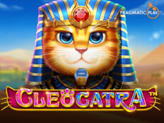 Casino alaturka 138. Wildlife casino game.11